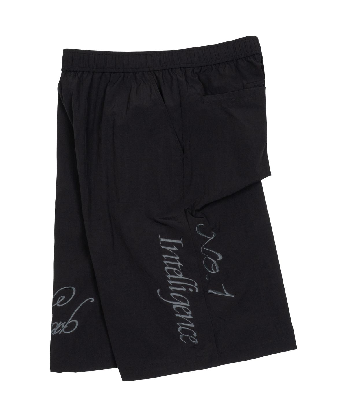더콜디스트모먼트(THE COLDEST MOMENT) TCM int nylon half pants (black)