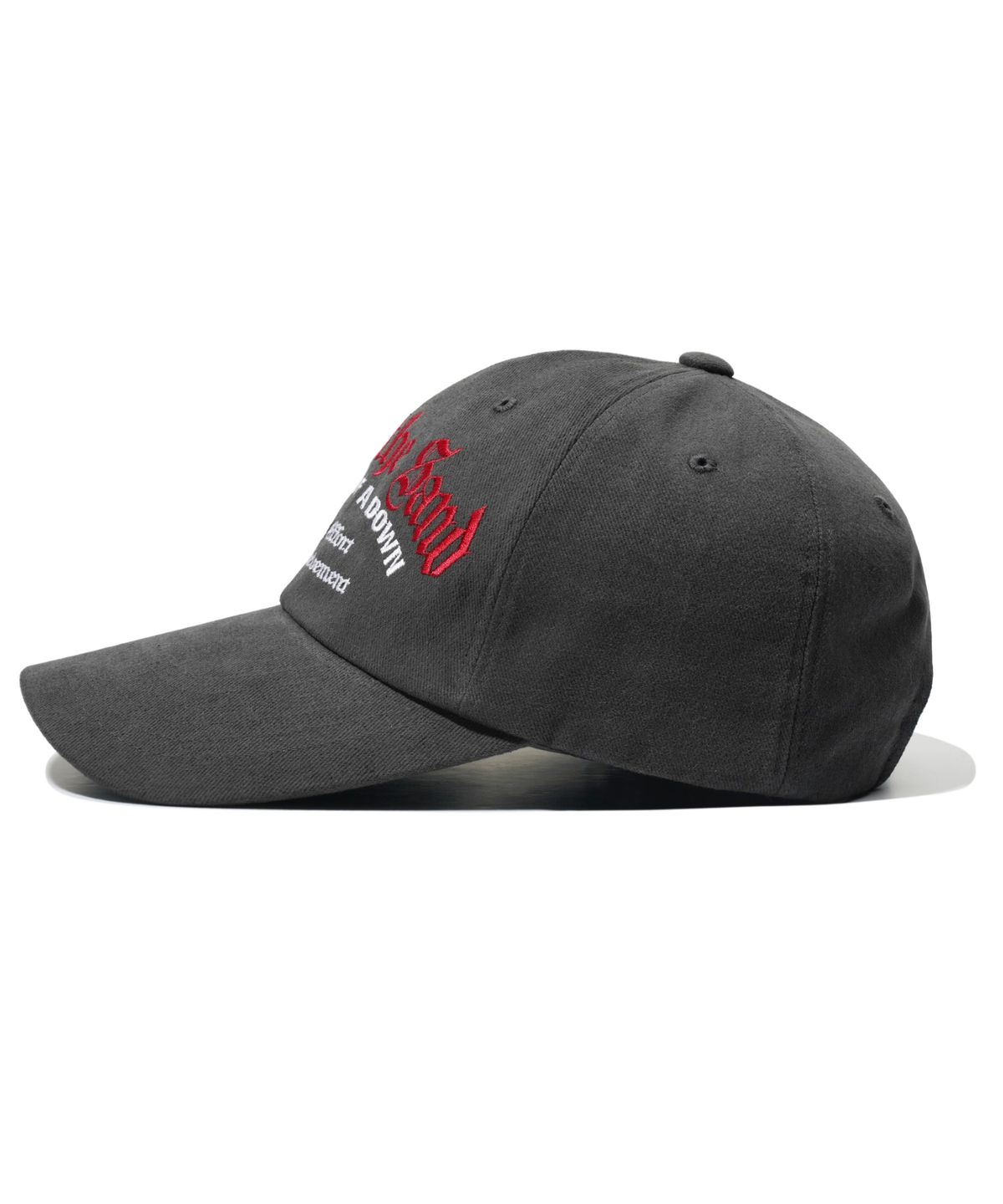 아이돈워너셀(IDWS) System Down Maxi Cap Charcoal