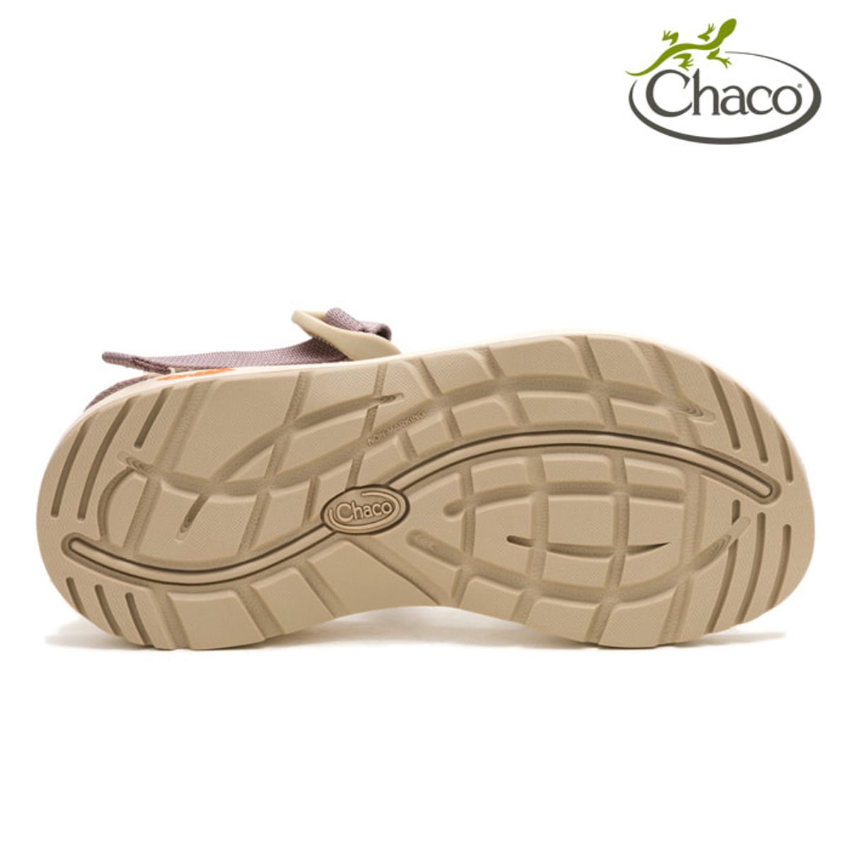 차코(CHACO) Z CLOUD2_JCH109956Z_OP