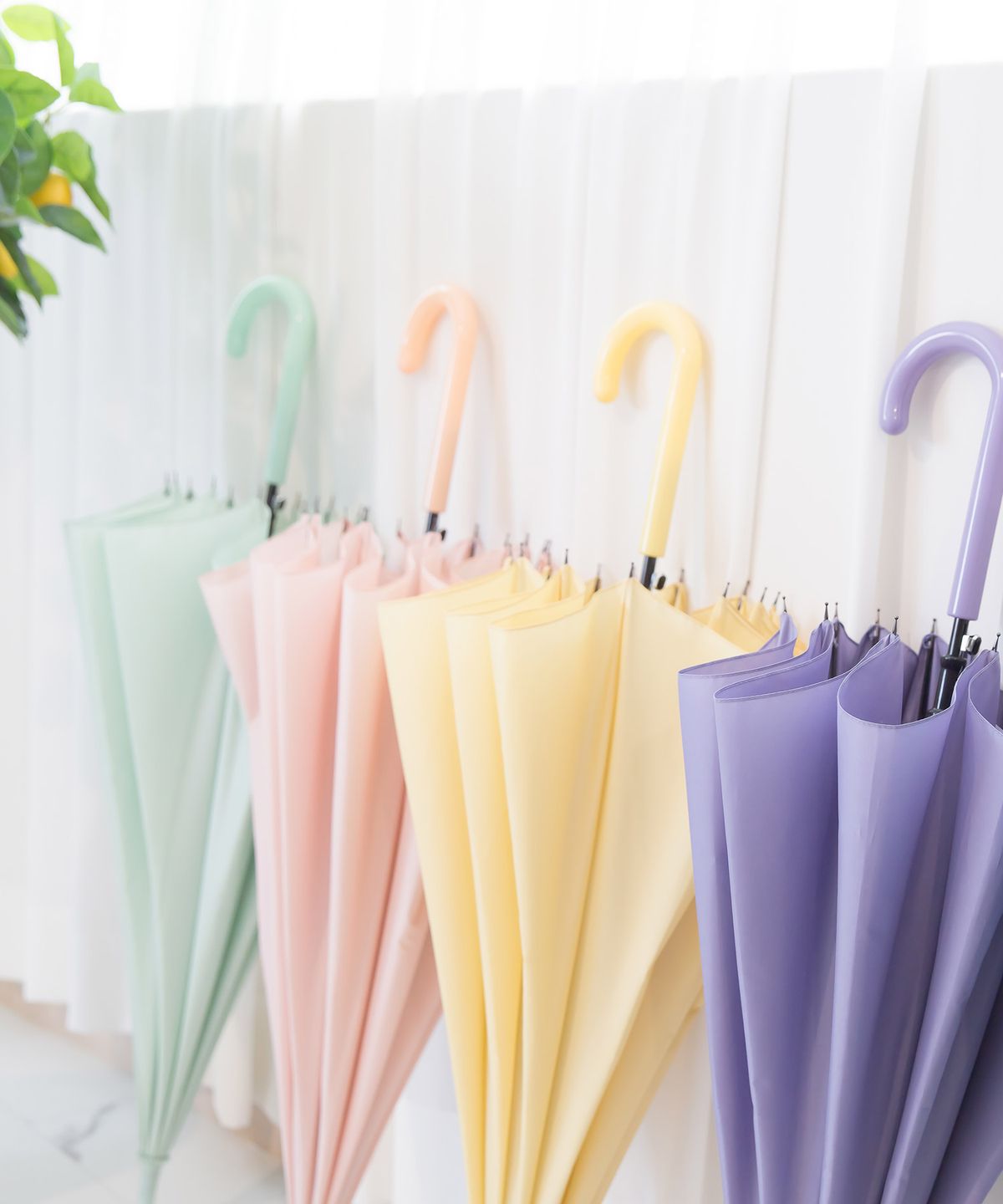 세인트스코트 우산(SAINT SCOTT UMBRELLA) 2PACK 수채화 12살대 자동 장우산 - 8COLOR