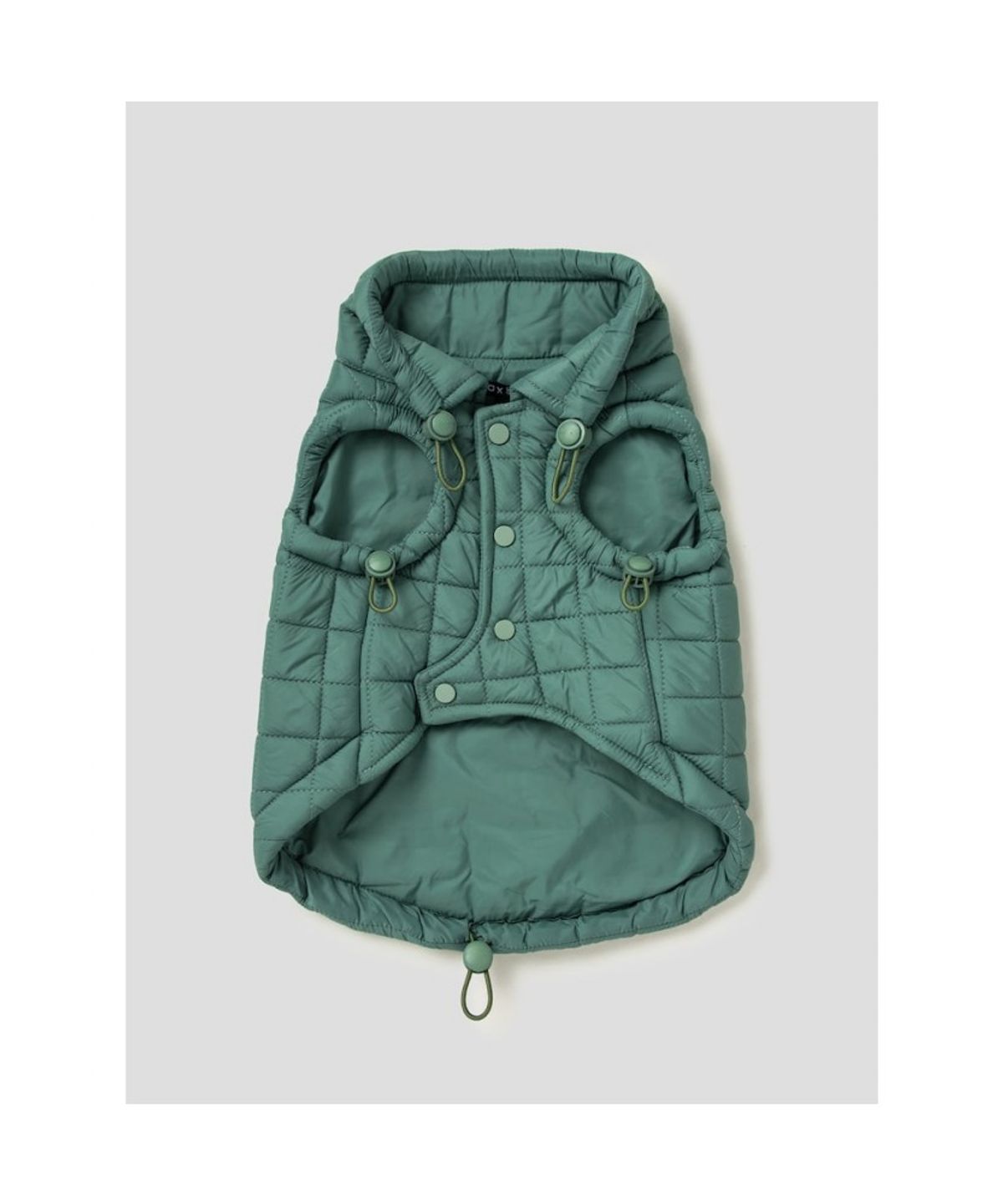 빈폴 액세서리(BEANPOLE ACCESSORY) [maxbone] Easy Fit Jacket - Apple Green