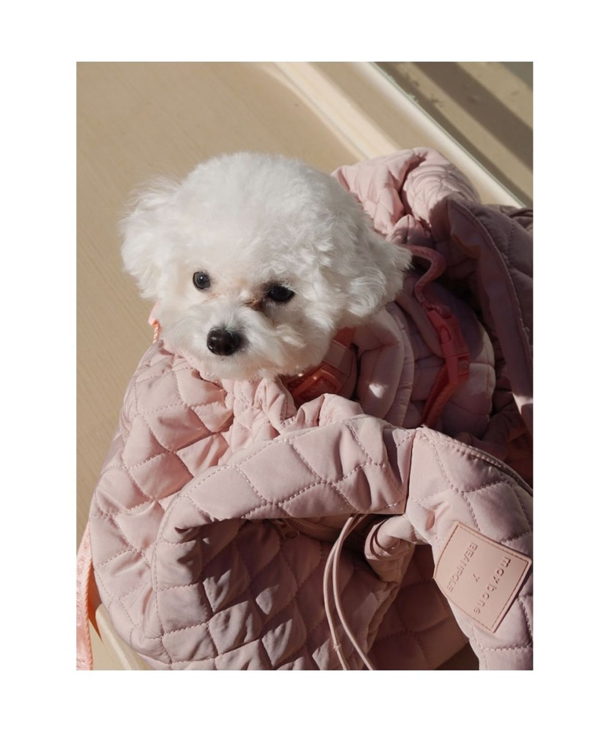 빈폴 액세서리(BEANPOLE ACCESSORY) [maxbone] Packable Sling Carrier - Light Pink