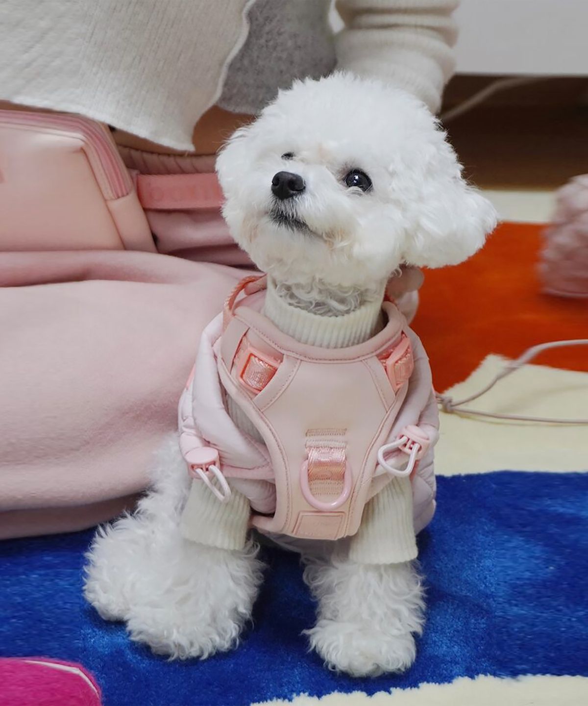 빈폴 액세서리(BEANPOLE ACCESSORY) [maxbone] Easy Fit Harness - Light Pink
