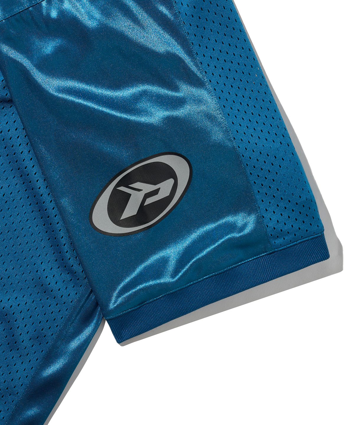 핍스 모터사이클(PHYPS MOTORCYCLE) Original Wing logo Mesh T-shirt Blue Green