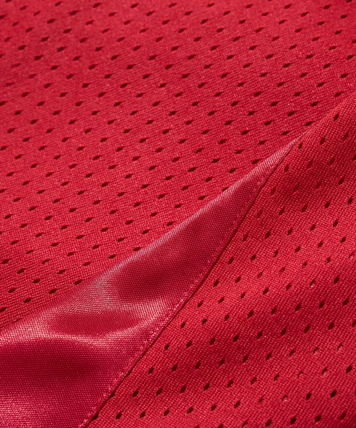 핍스 모터사이클(PHYPS MOTORCYCLE) Original Wing logo Mesh T-shirt Red