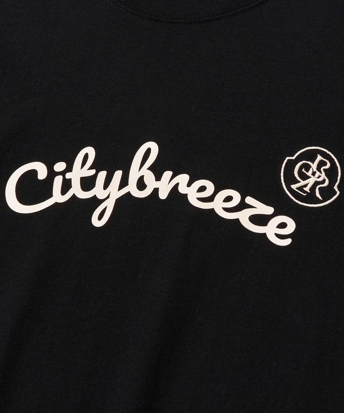 시티브리즈(CITYBREEZE) 브리즈 라인 반팔 티셔츠_BLACK