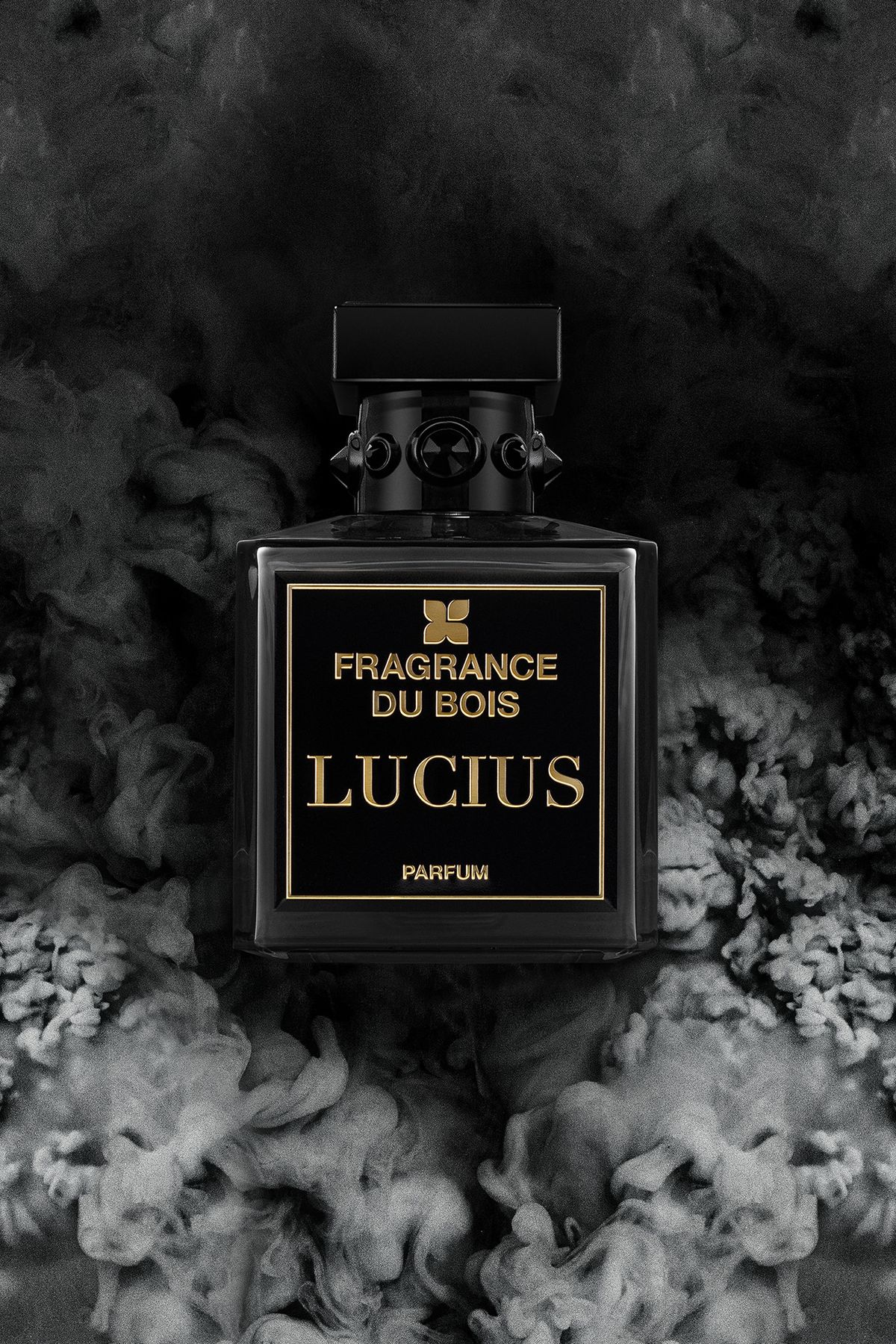 프래그런스 두 부아(FRAGRANCE DU BOIS) FRAGRANCE DU BOIS 루시어스 (LUCIUS) 100ml