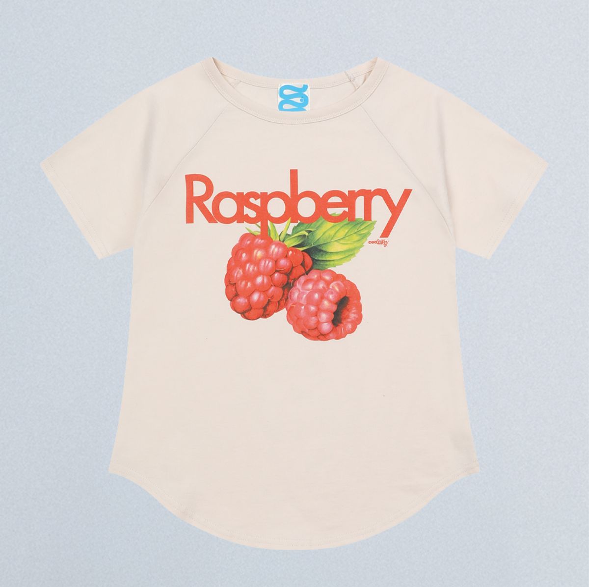 챈스챈스(CHANCECHANCE) RASPBERRY RAGLAN T-SHIRT