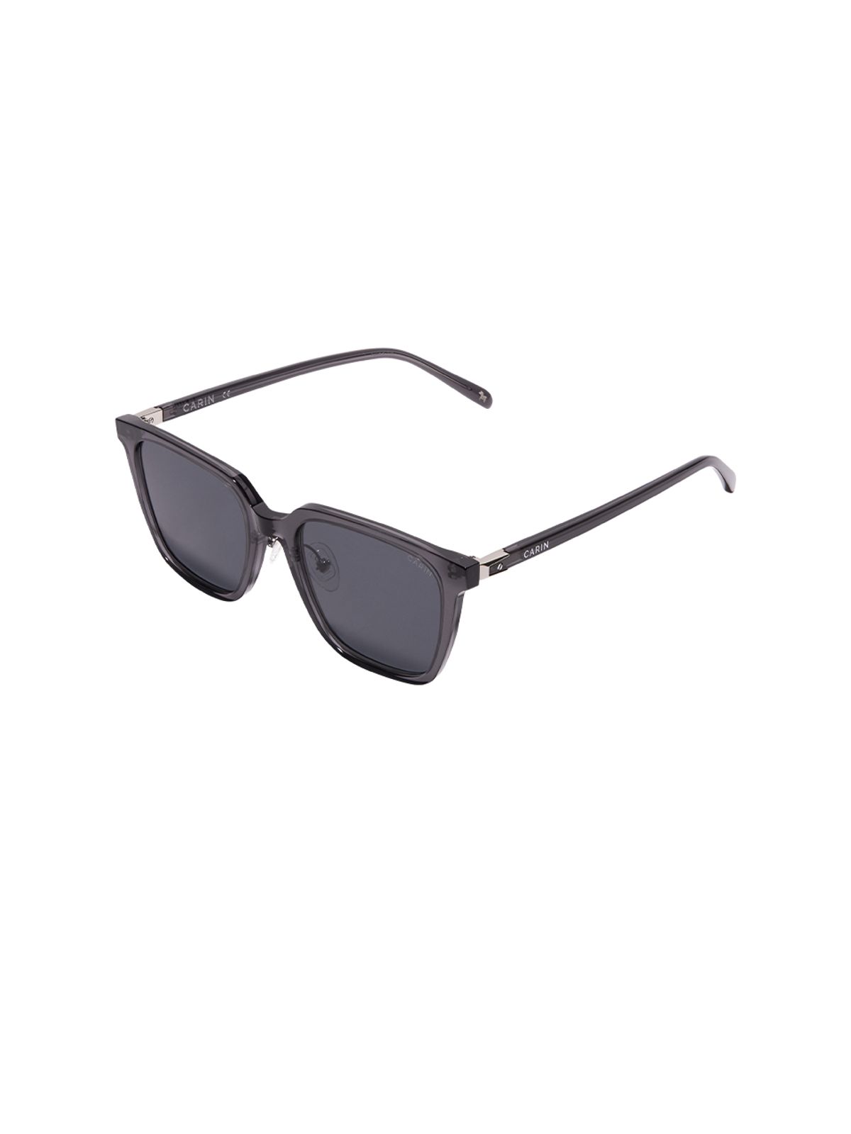 카린(CARIN) 아네스S+ C2