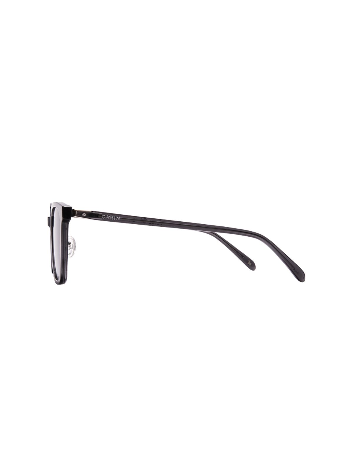 카린(CARIN) 아네스S+ C2