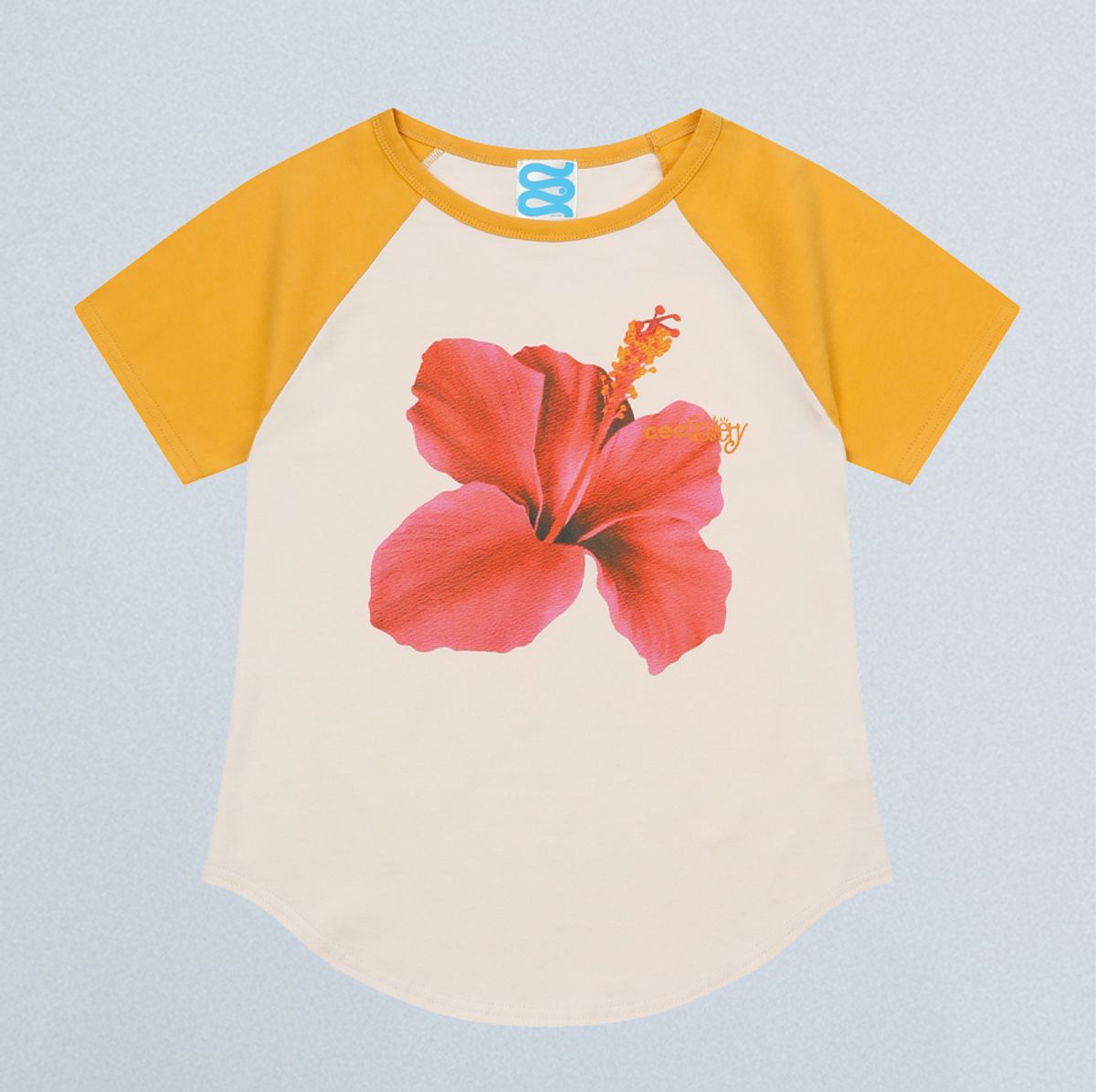 챈스챈스(CHANCECHANCE) FLOWER RAGLAN T-SHIRT