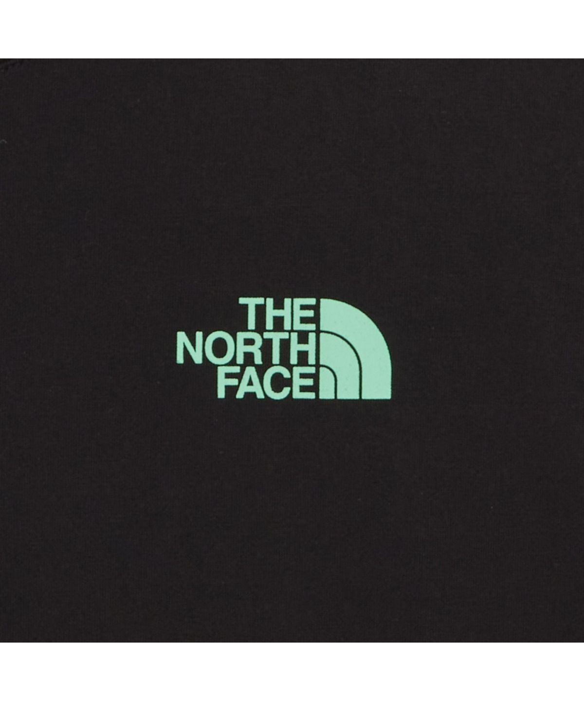 노스페이스(THE NORTH FACE) NT7UR52B 남성 에버그린 반팔 라운드티 2 BLACK