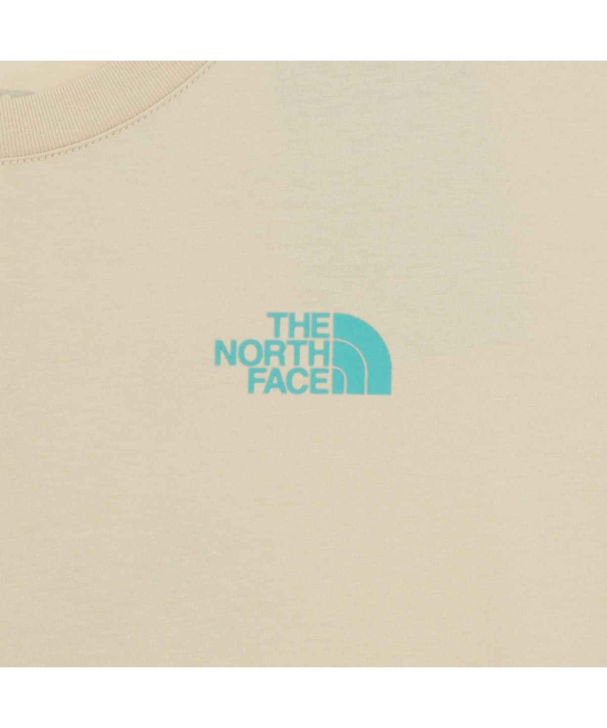 노스페이스(THE NORTH FACE) NT7UR51C 남성 에버그린 반팔 라운드티 1 BEIGE