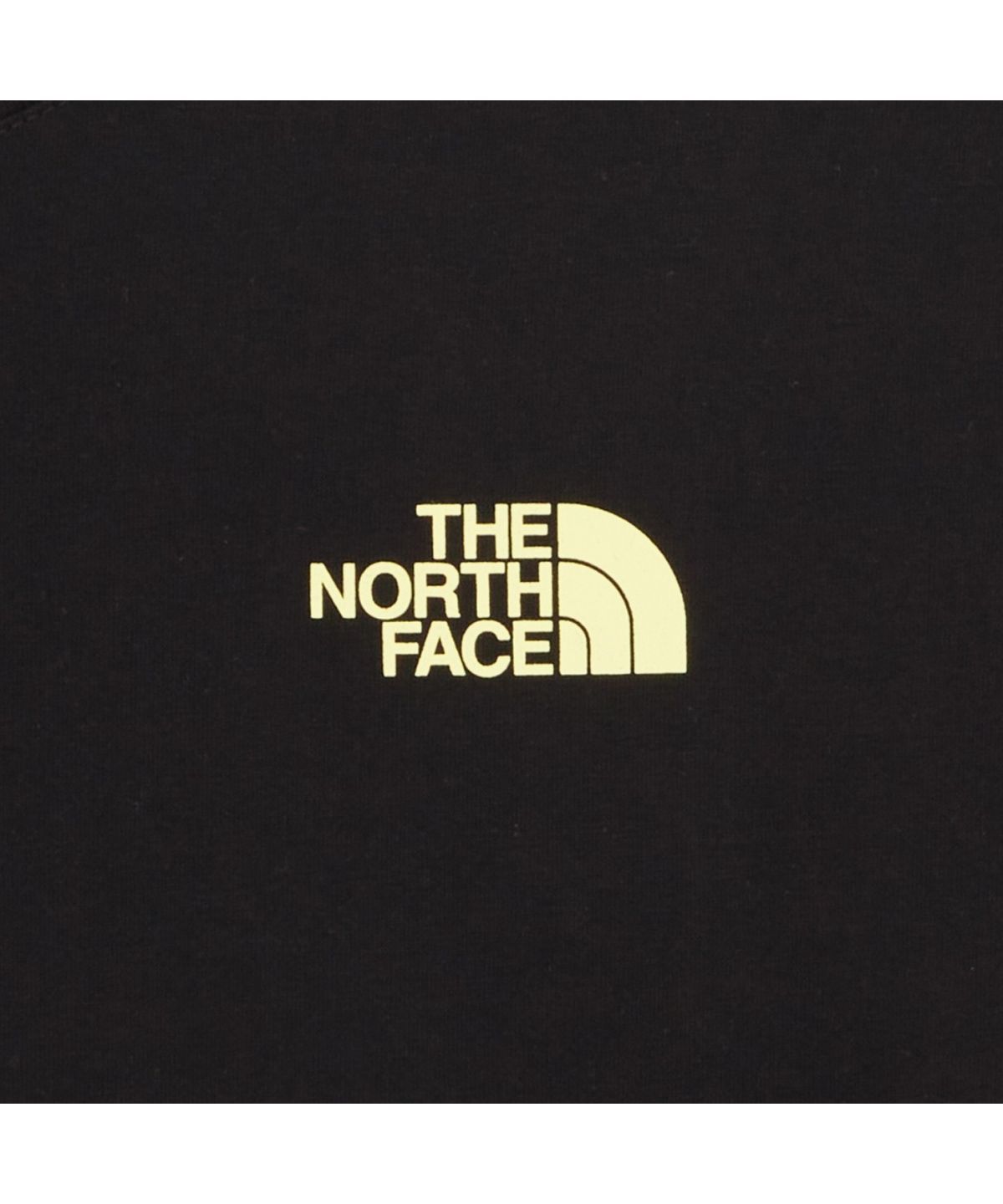 노스페이스(THE NORTH FACE) NT7UR51A 남성 에버그린 반팔 라운드티 1 BLACK