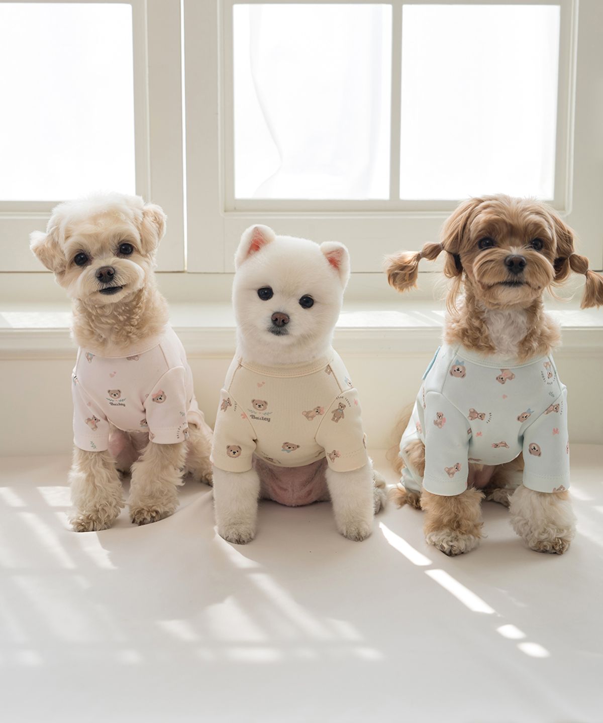 베일리(BAILEY) 강아지 테디 항균 올인원 베이지