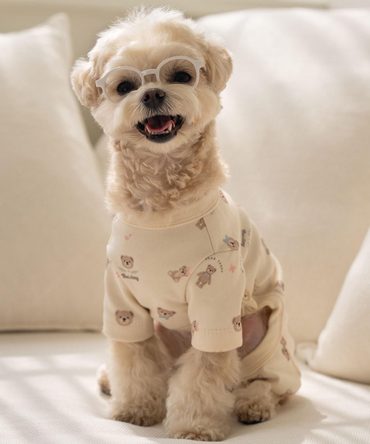 베일리(BAILEY) 강아지 테디 항균 올인원 베이지