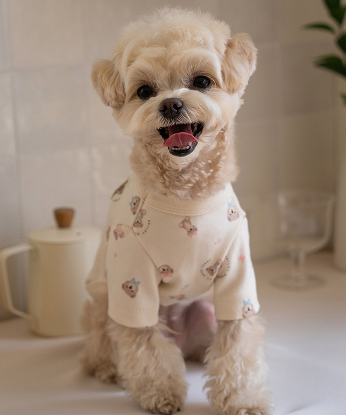 베일리(BAILEY) 강아지 테디 항균 티셔츠 베이지