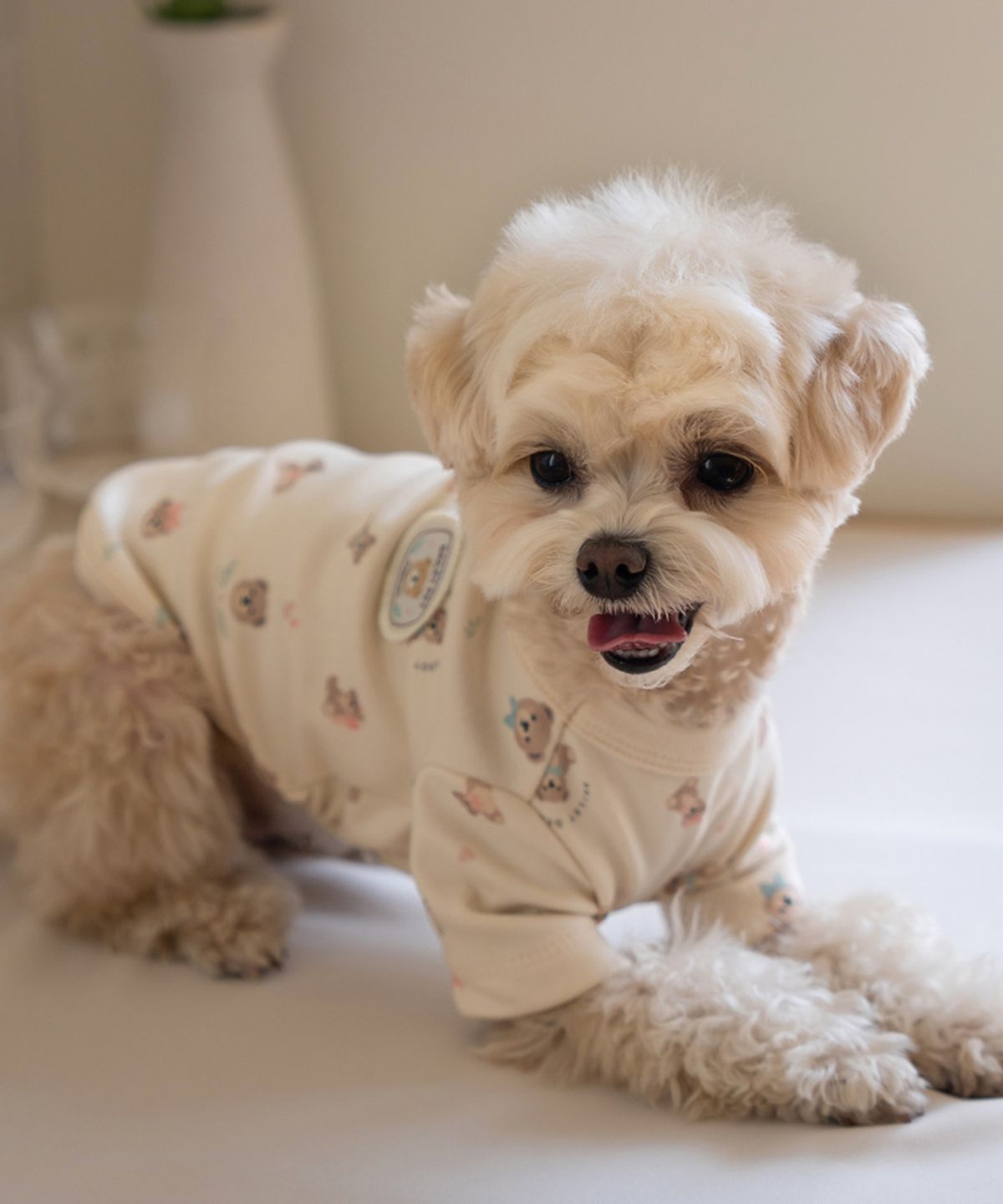 베일리(BAILEY) 강아지 테디 항균 티셔츠 베이지