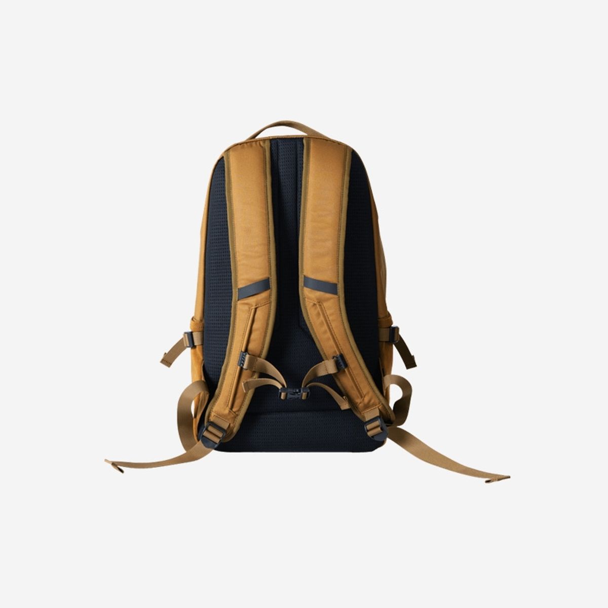 디오디(DOD) 데이파 코듀라(CAMEL)
