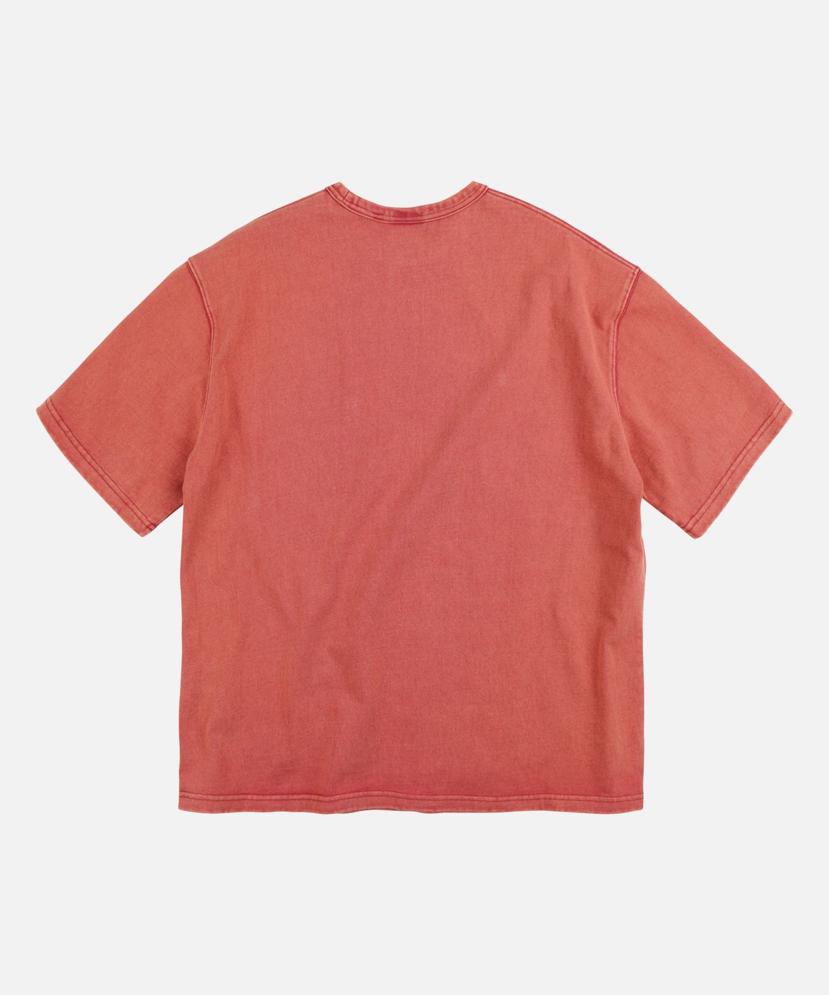 프리즘웍스(FRIZMWORKS) TURTLE ISLAND TEE _ RUSTY RED