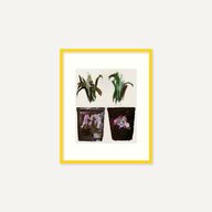 Thumbnail 16