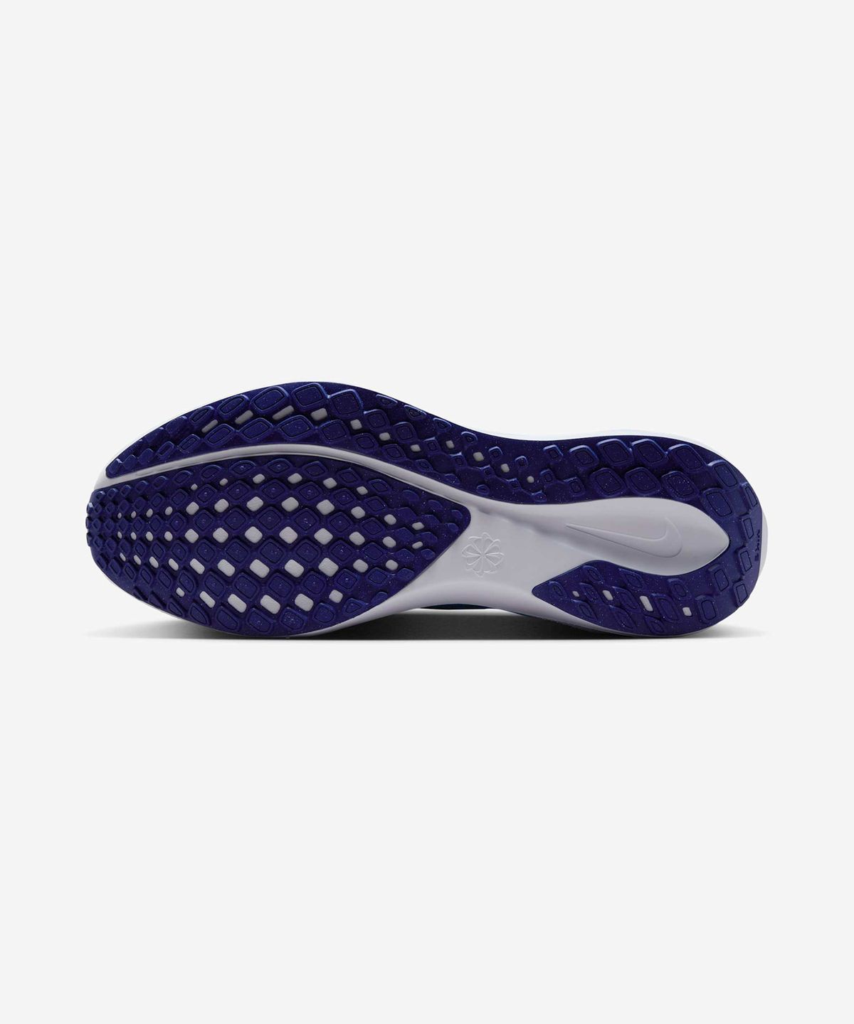 나이키(NIKE) 페가수스 41 M - 고스트:풋볼 그레이:딥 나이트:블루 보이드 / FD2722-014