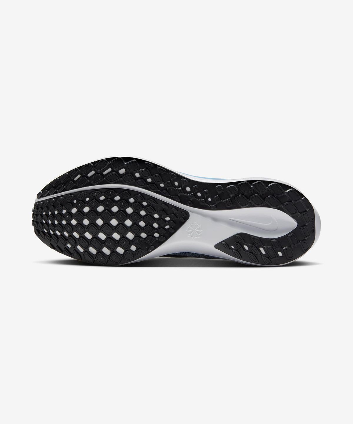 나이키(NIKE) 페가수스 41 W - 블루 틴트:사이킥 블루:스모키 블루:블랙 / FD2723-404