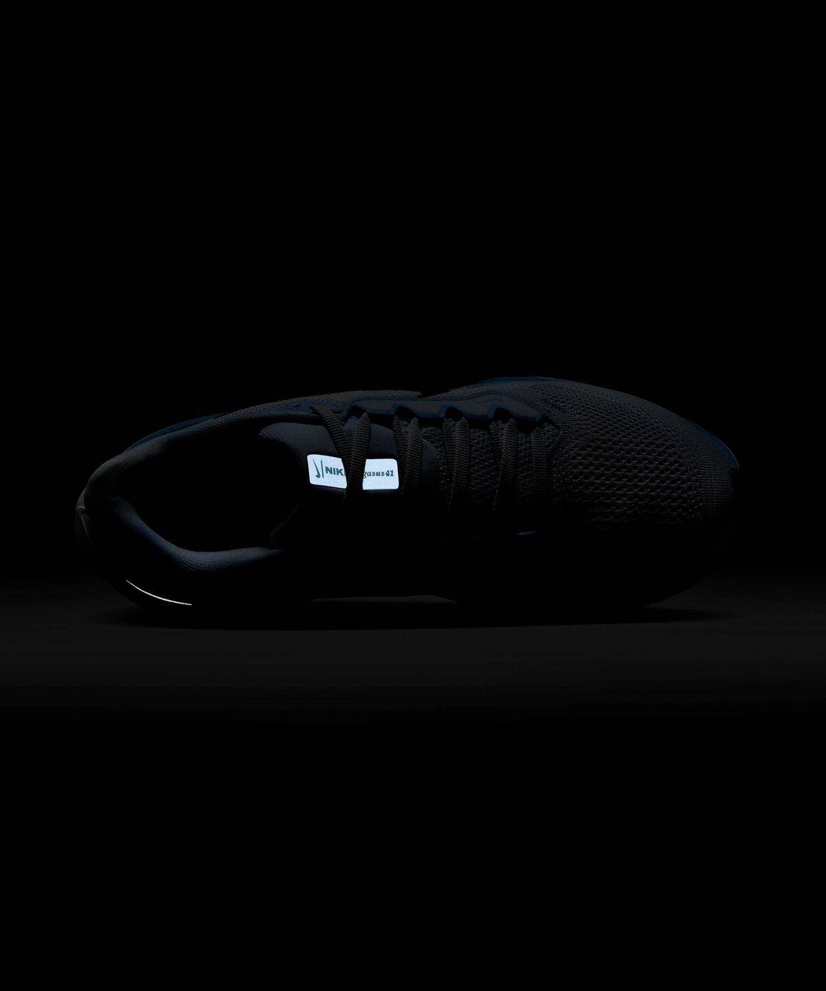 나이키(NIKE) 페가수스 41 W - 블루 틴트:사이킥 블루:스모키 블루:블랙 / FD2723-404