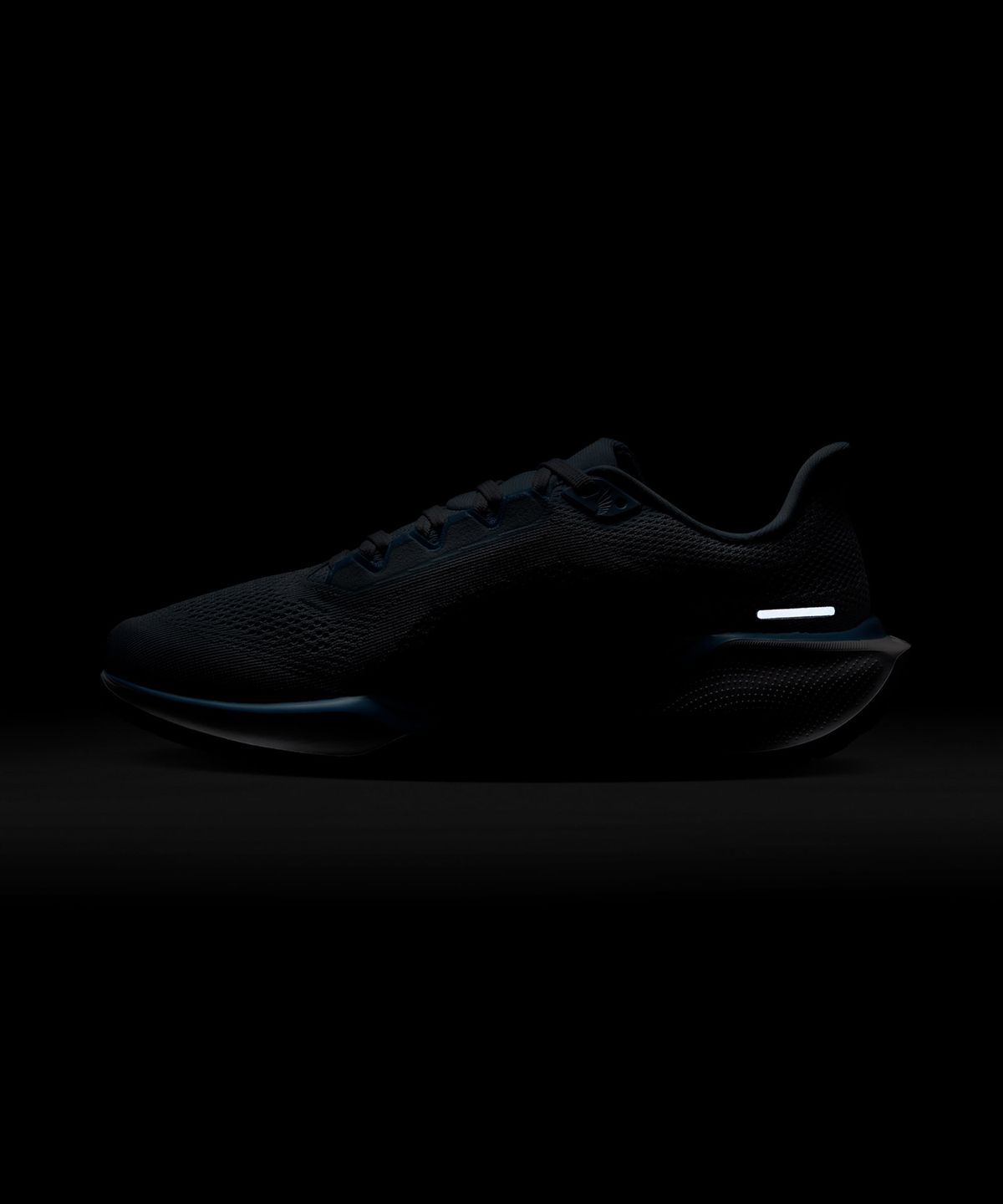나이키(NIKE) 페가수스 41 W - 블루 틴트:사이킥 블루:스모키 블루:블랙 / FD2723-404