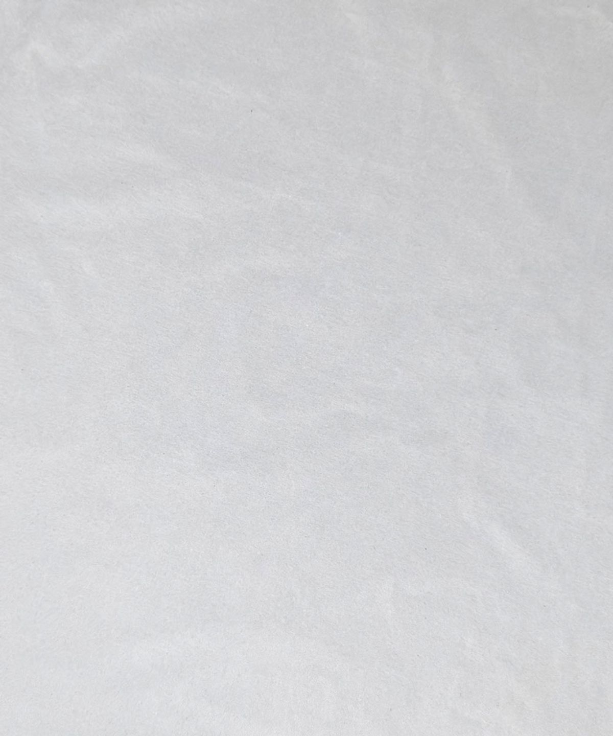 그레일즈(GRAILZ) GR BLUR T-SHIRTS [WHITE]