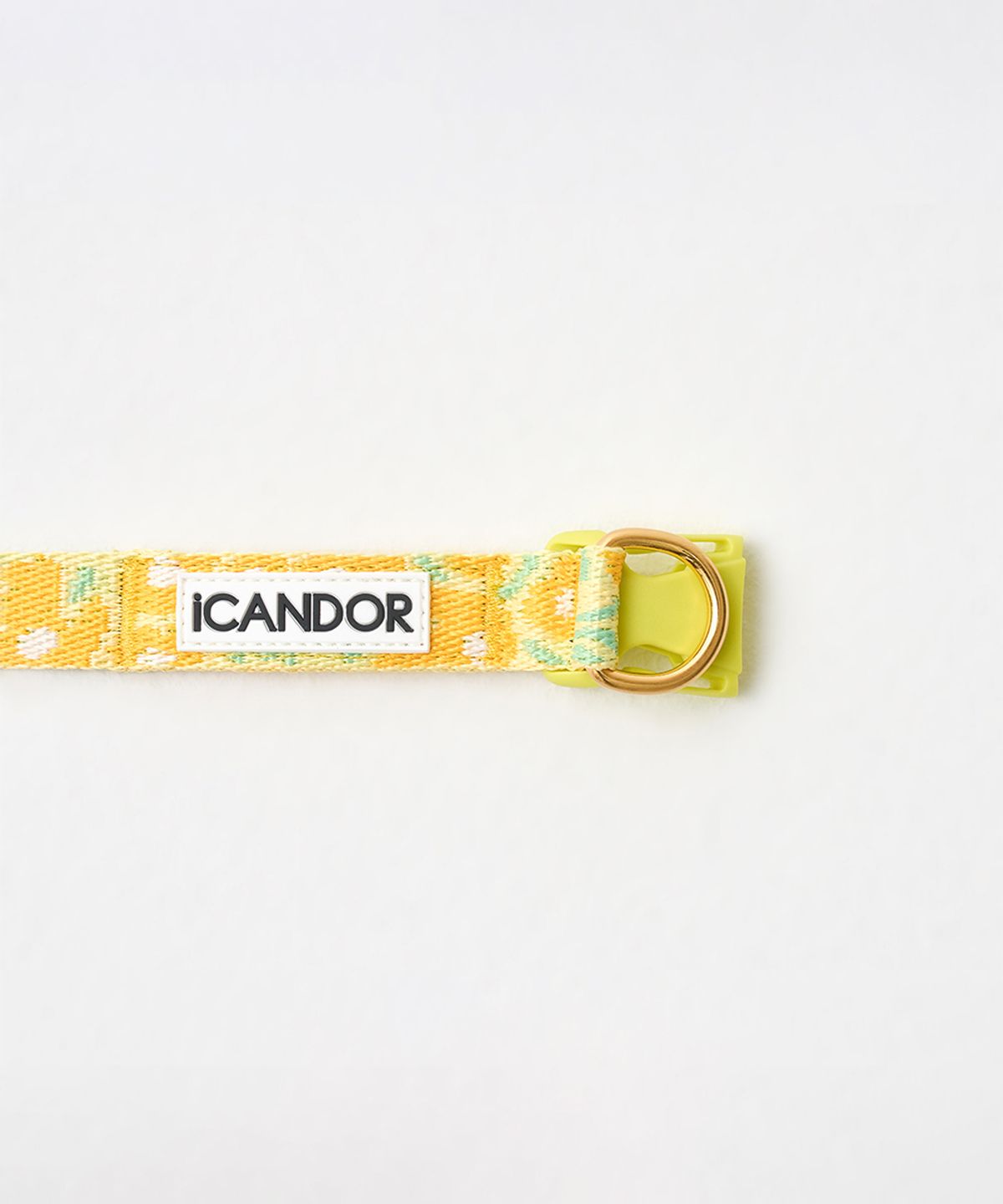 아이캔더(ICANDOR) 젠틀 카라 듀얼_빅피쉬 옐로우