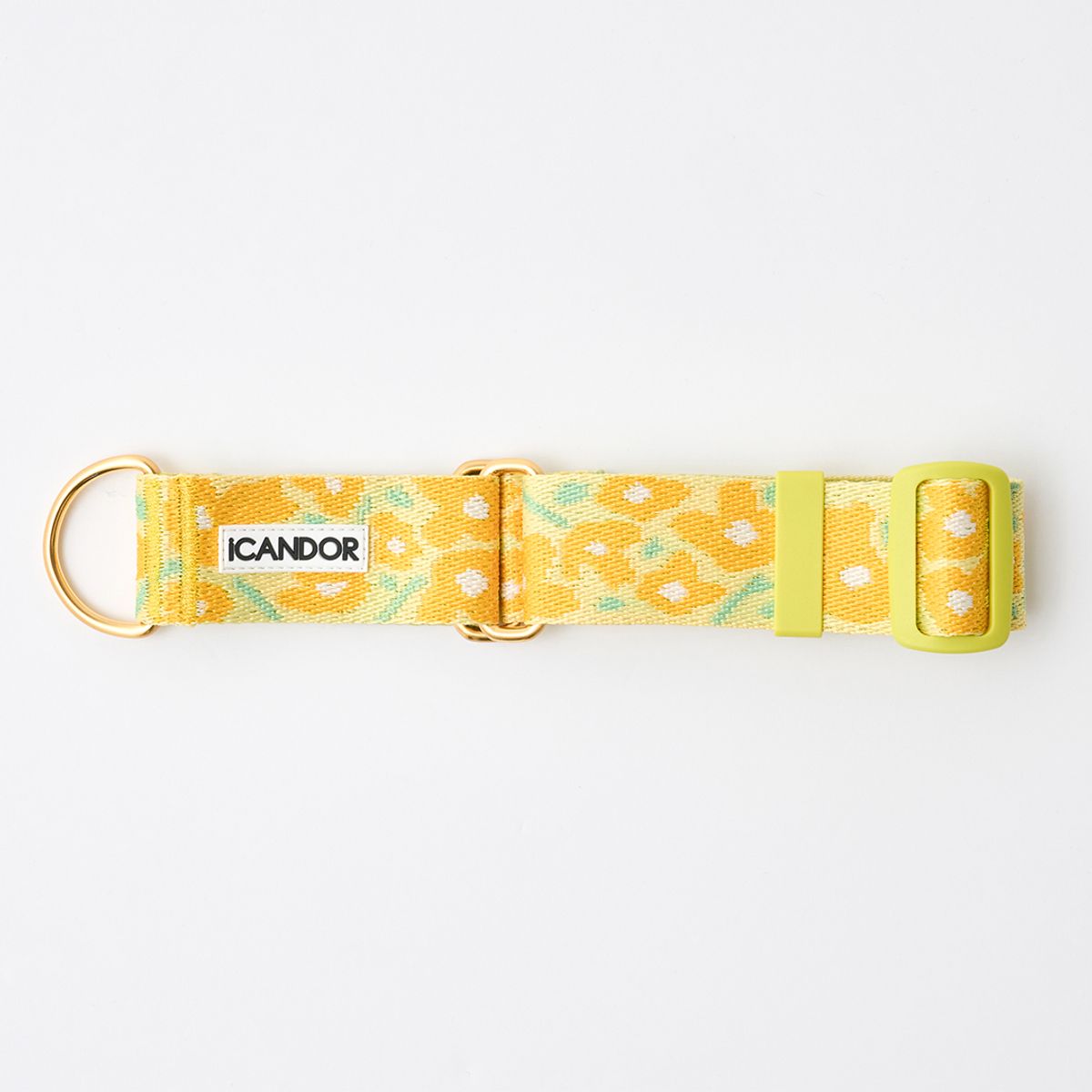 아이캔더(ICANDOR) 스무스 마틴게일 카라 38mm_빅피쉬 옐로우