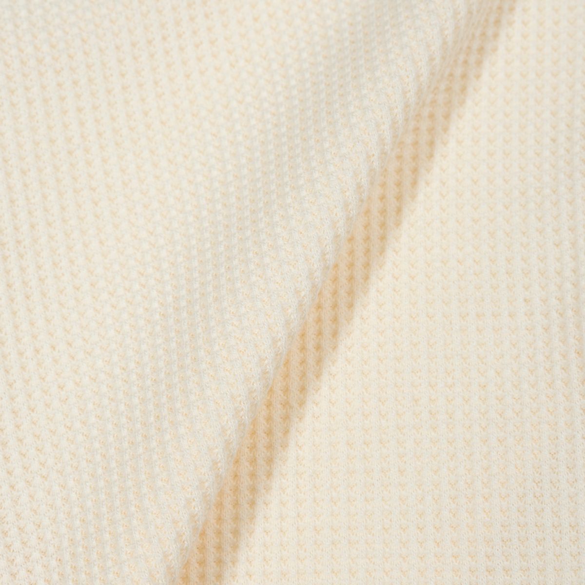 모아(MOAA) Curve Snap Henley Tee (Ivory)