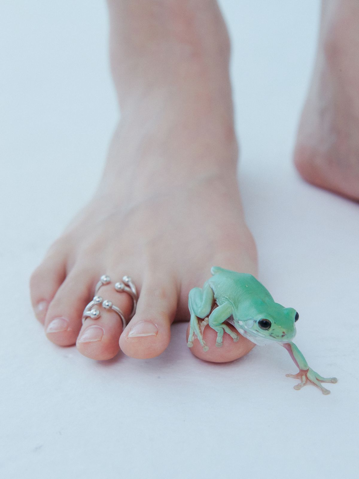 로울(LOWOOL) Frog silver ring