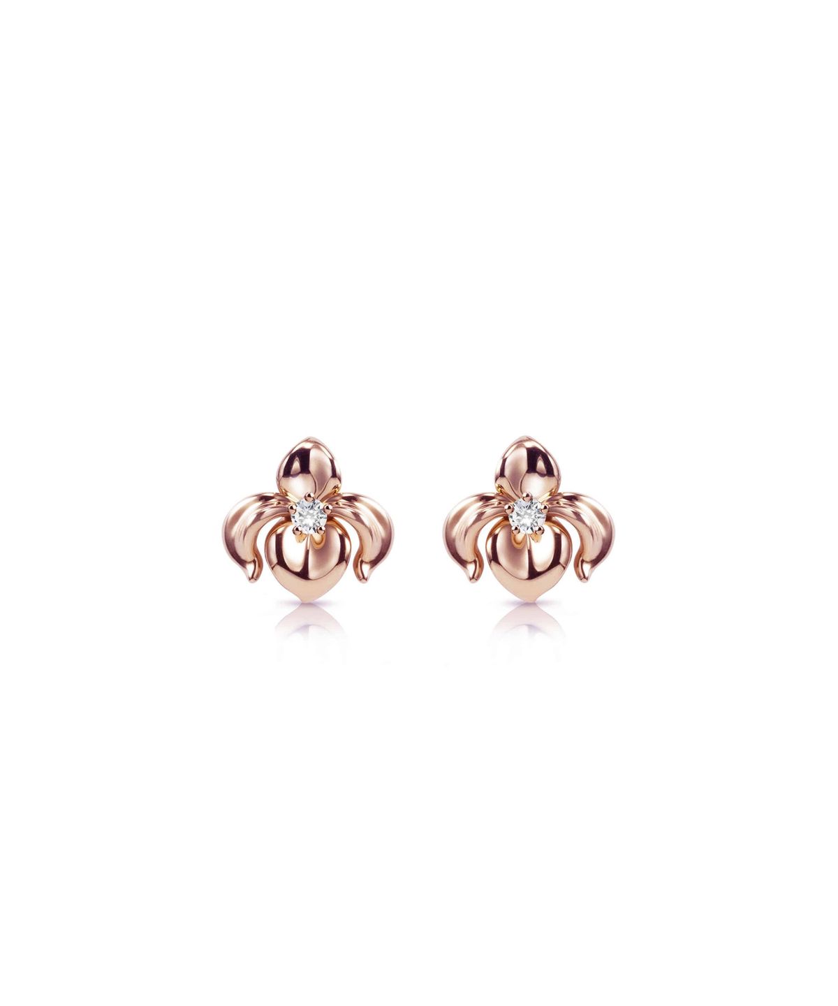 트렌카디즘(TRENCADISM) 마틴 귀걸이 14K 골드 이어링 MARTIN_Earring_MTE75FLS