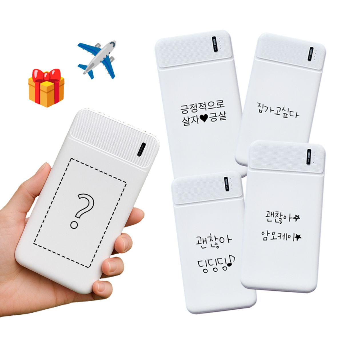 이레케이스앤굿즈(IRECASEGOODS) DR  커스텀 듀얼 10000mAh 동시충전 C타입케이스 포함