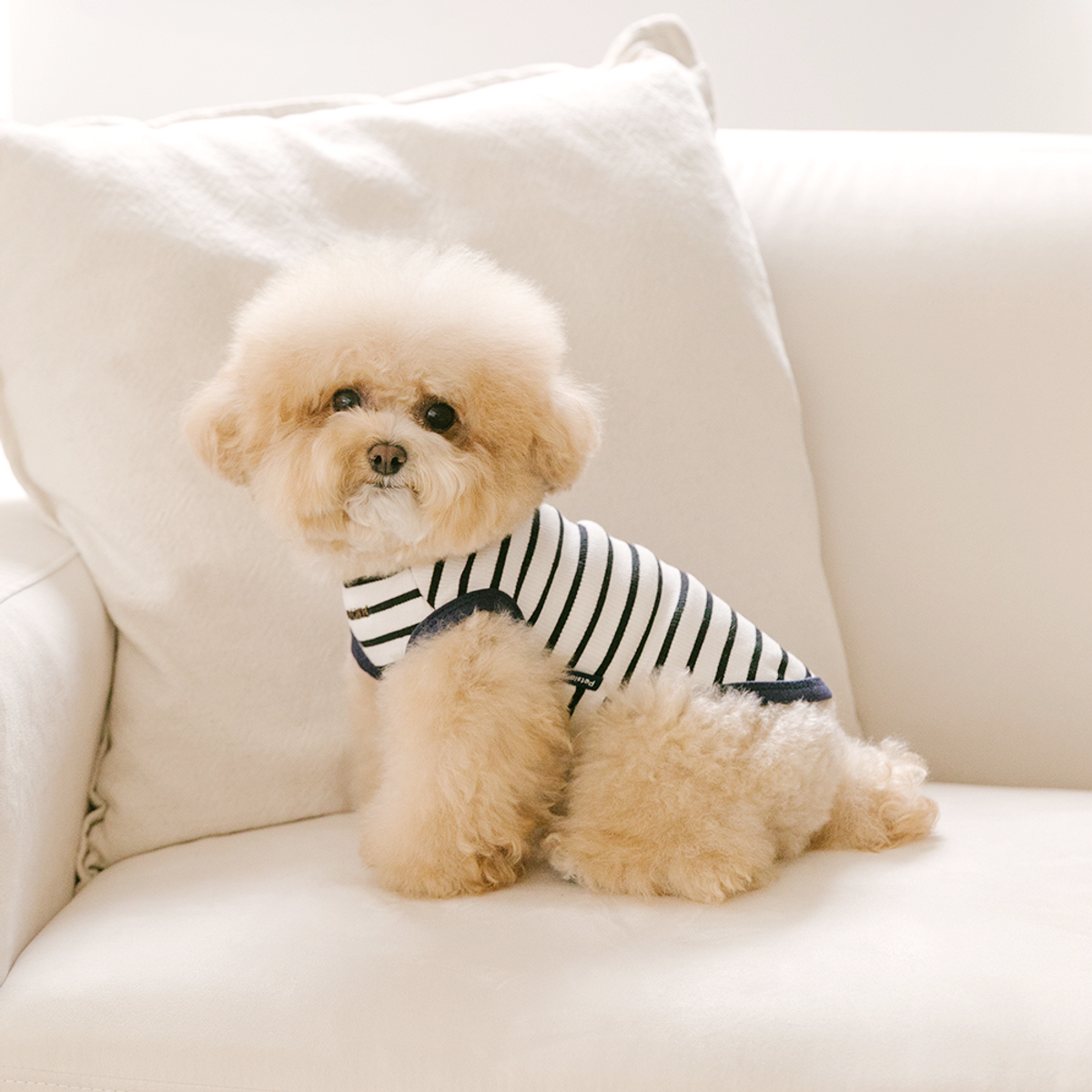 펫츠랜드(PETSLAND) 해피버기티셔츠 S-2XL