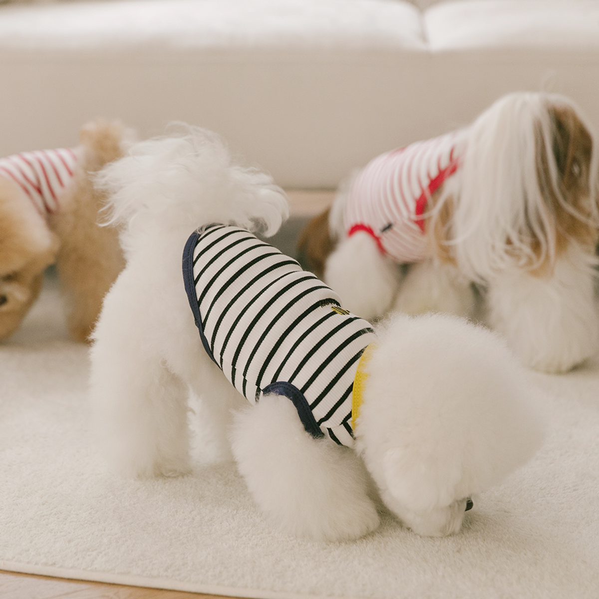 펫츠랜드(PETSLAND) 해피버기티셔츠 S-2XL