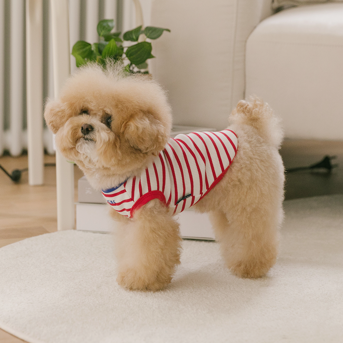 펫츠랜드(PETSLAND) 해피버기티셔츠 S-2XL