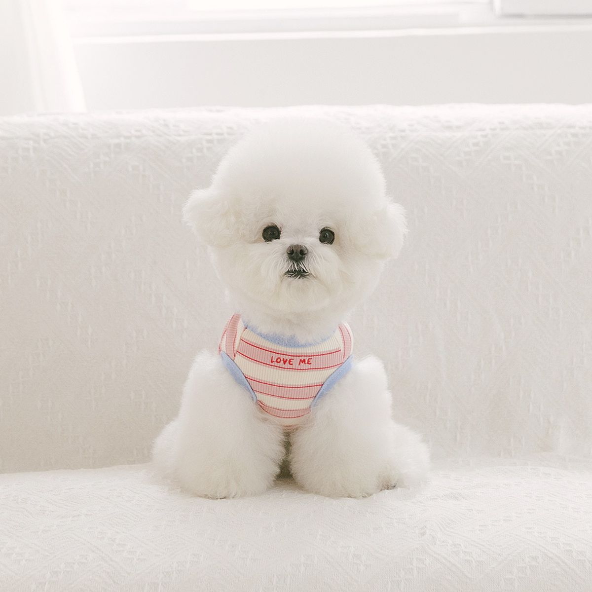 펫츠랜드(PETSLAND) 데일리하트티셔츠 S-2XL