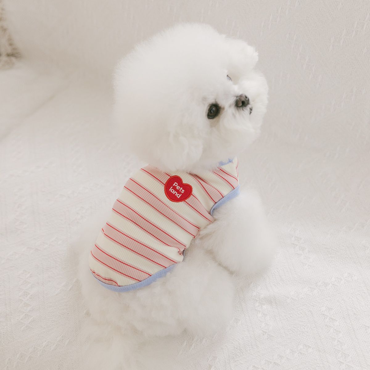 펫츠랜드(PETSLAND) 데일리하트티셔츠 S-2XL