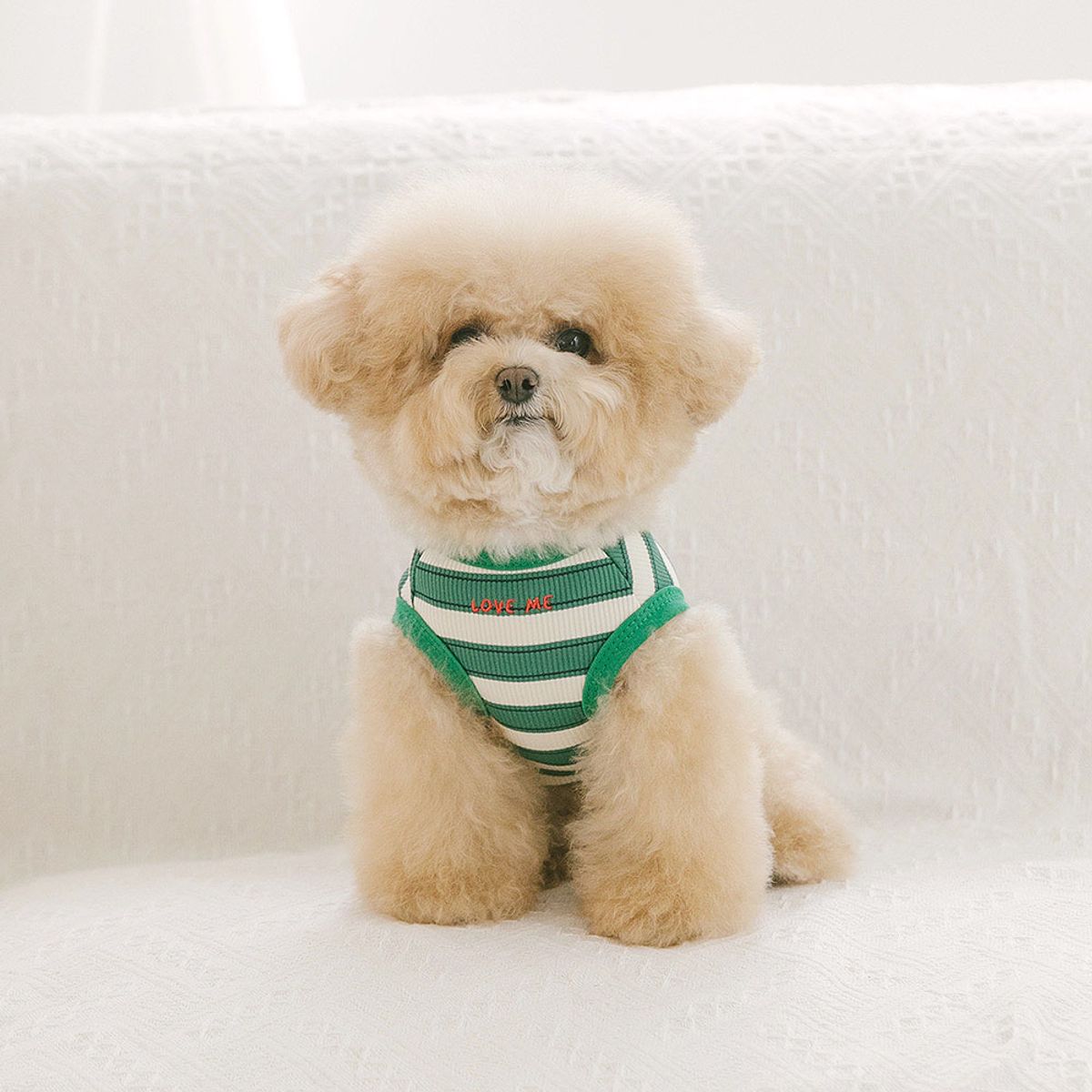펫츠랜드(PETSLAND) 데일리하트티셔츠 S-2XL