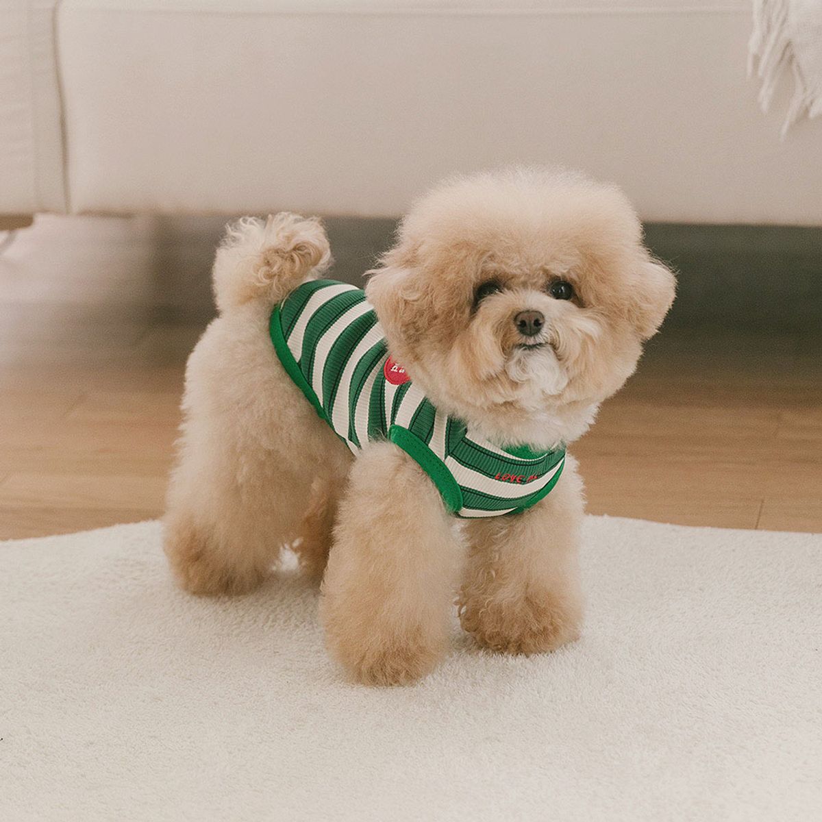 펫츠랜드(PETSLAND) 데일리하트티셔츠 S-2XL