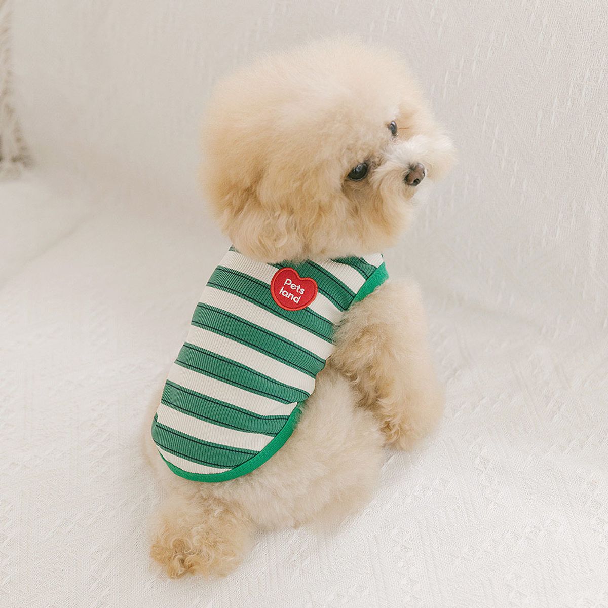 펫츠랜드(PETSLAND) 데일리하트티셔츠 S-2XL