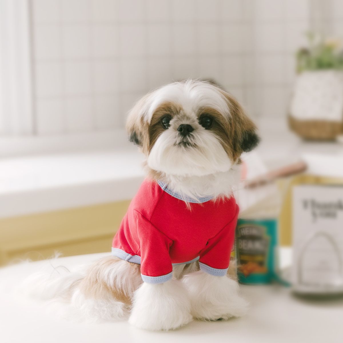 펫츠랜드(PETSLAND) 큐티라벨티셔츠 S-2XL