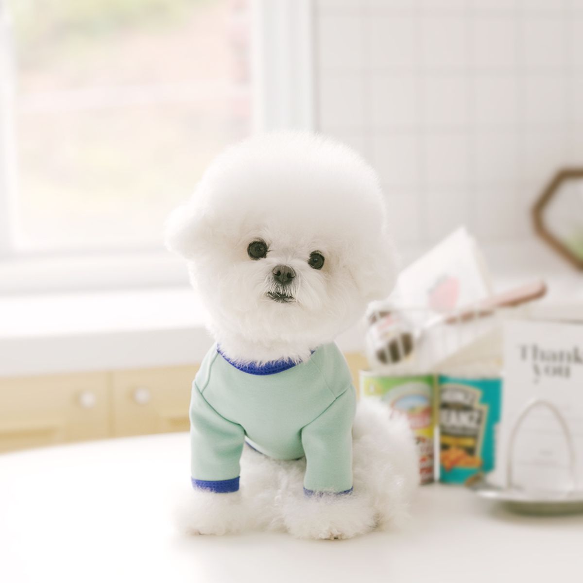 펫츠랜드(PETSLAND) 큐티라벨티셔츠 S-2XL