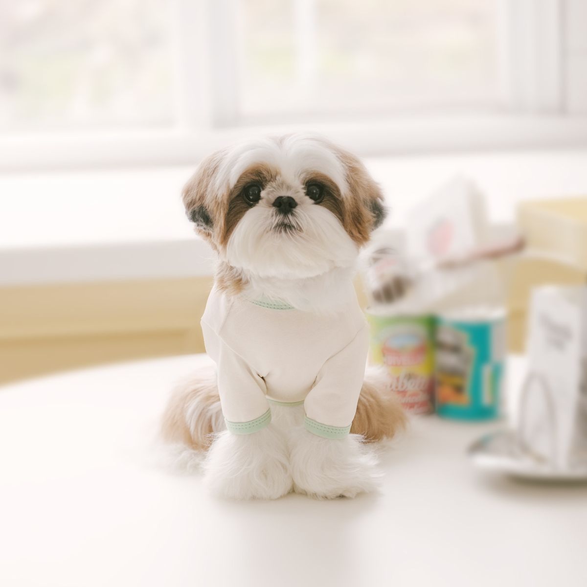 펫츠랜드(PETSLAND) 큐티라벨티셔츠 S-2XL