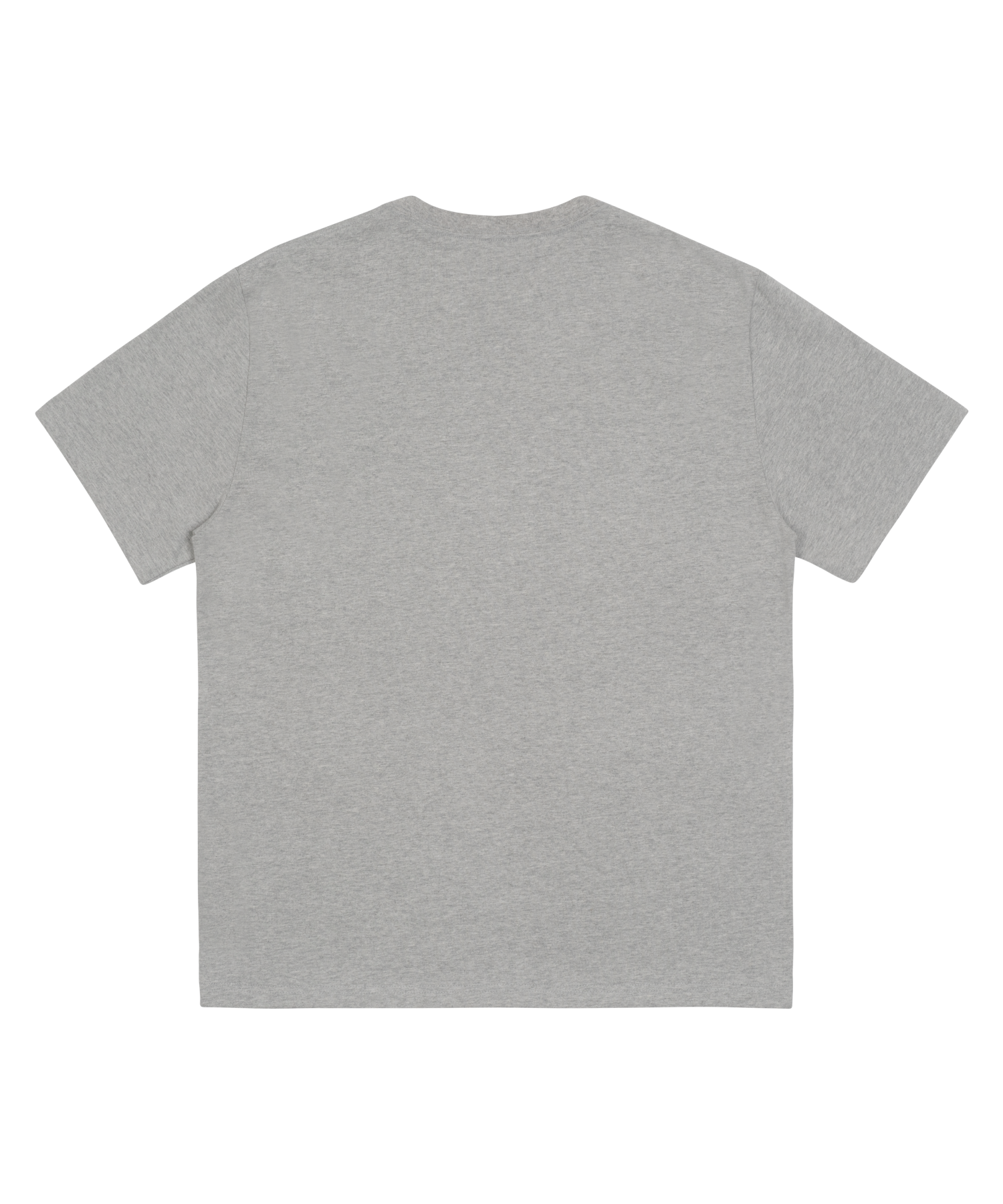 MUSINSA | THE COLDEST MOMENT TCM tbt T (grey)