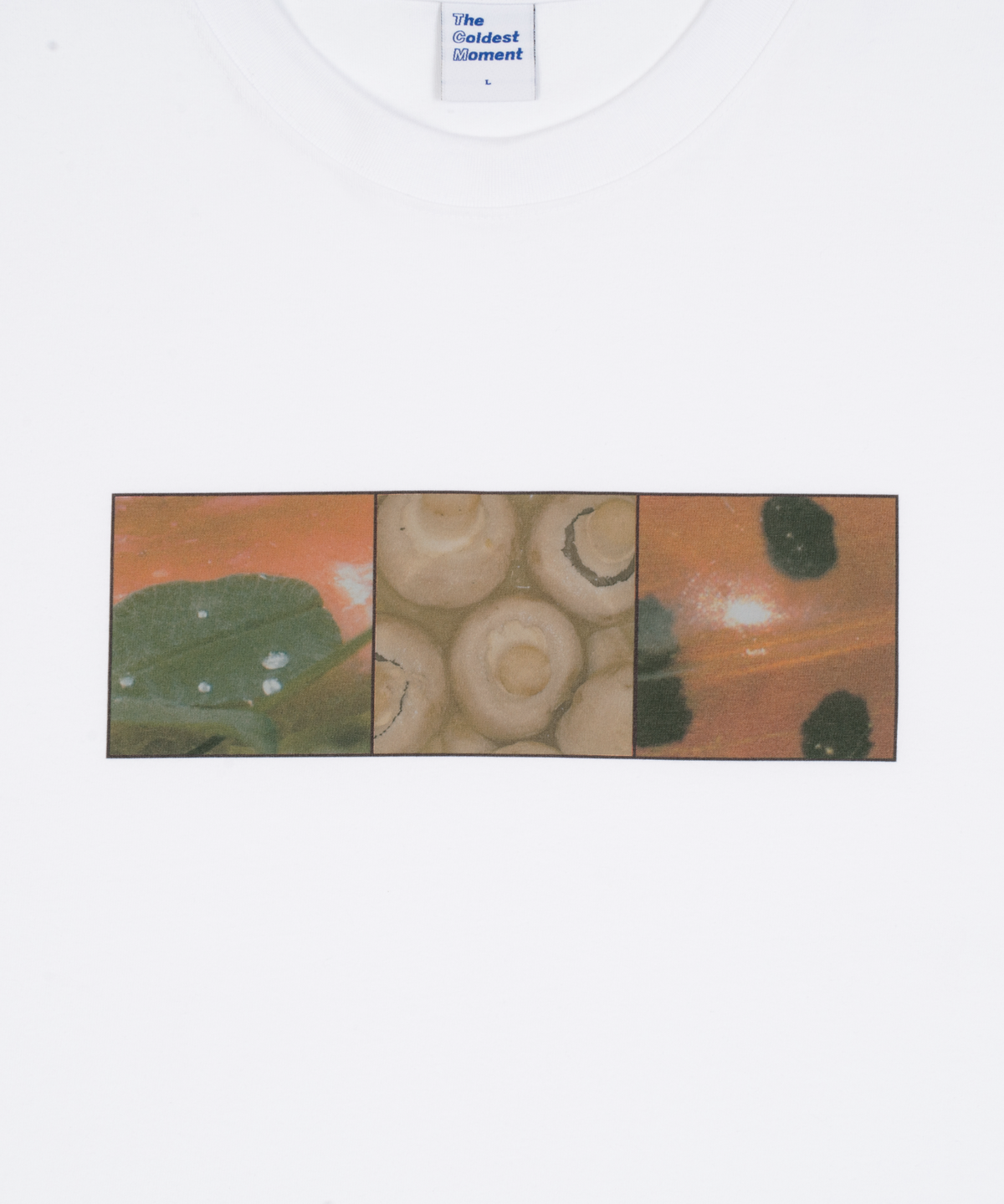 더콜디스트모먼트(THE COLDEST MOMENT) TCM nature T (white)