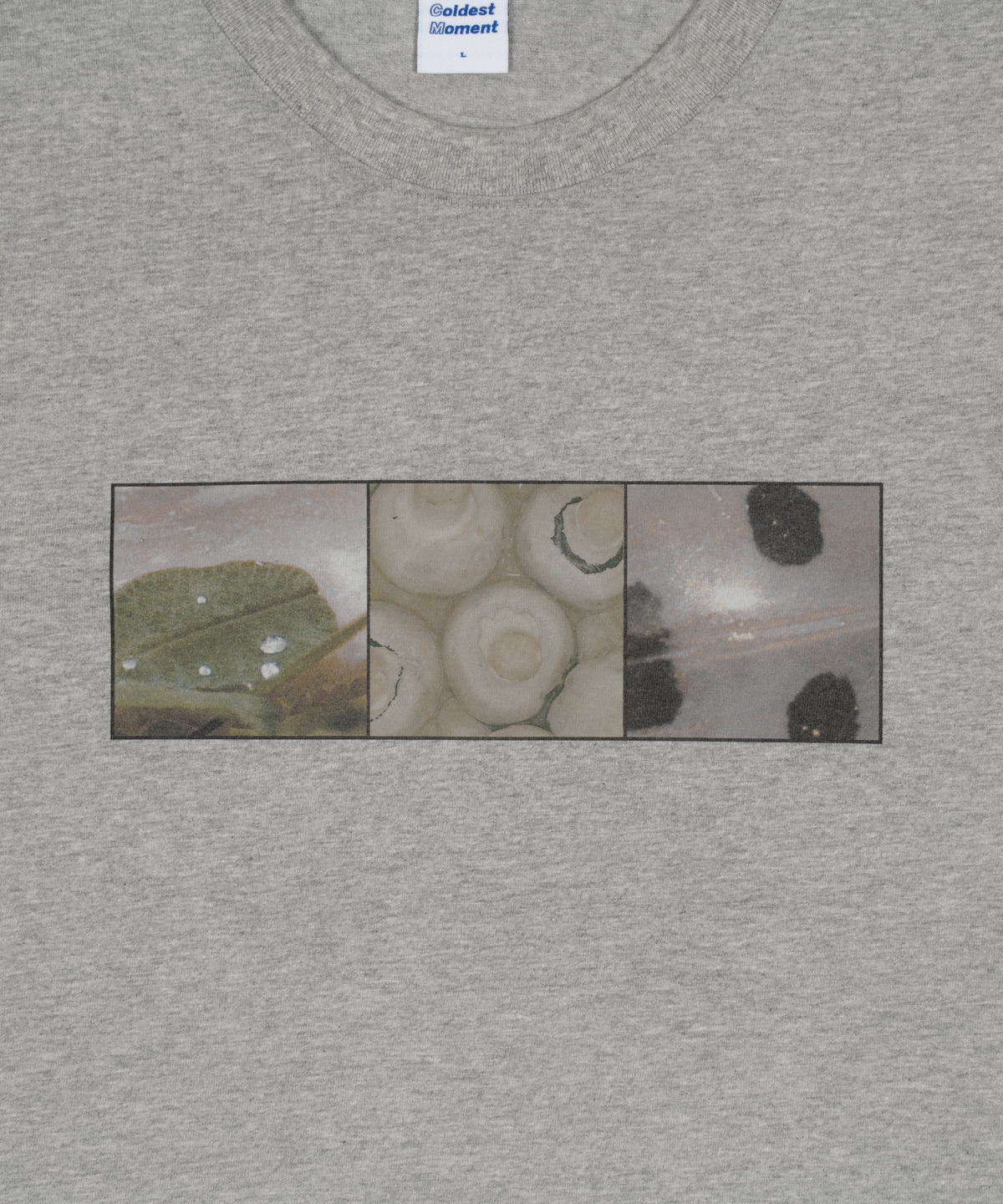 더콜디스트모먼트(THE COLDEST MOMENT) TCM nature T (grey)